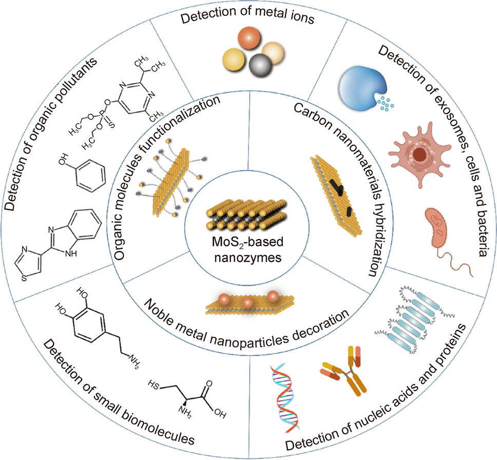 Recent Advances in Molybdenum Disulfide-Based Nanozymes for Sensing Applications