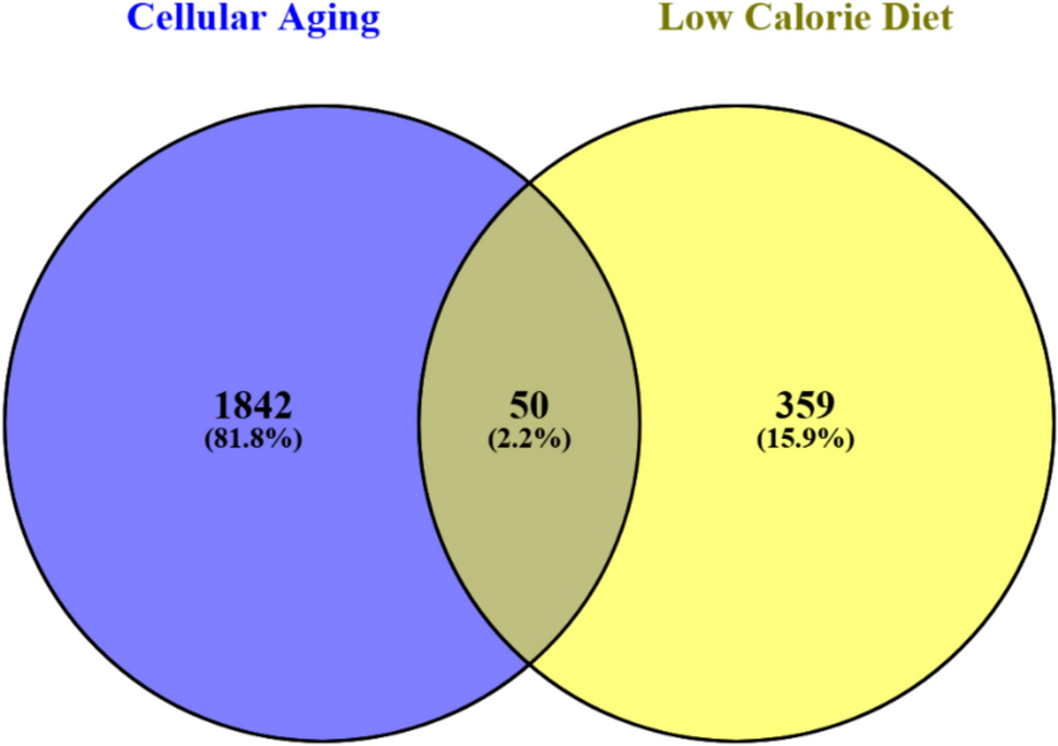 Prioritization of prognostic biomarkers regulated by calorie restriction in colon cancer through integrated biosignature analysis