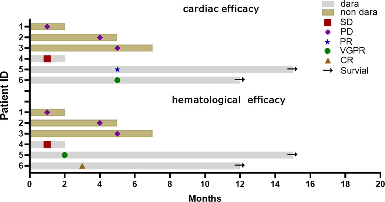 Single-center clinical efficacy analysis of 16 cases of primary light chain cardiac amyloidosis including stage IIIb patients