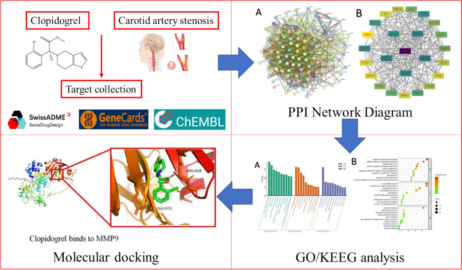 Investigating the pharmacological mechanisms of clopidogrel for carotid stenosis treatment based on network pharmacology and molecular docking techniques