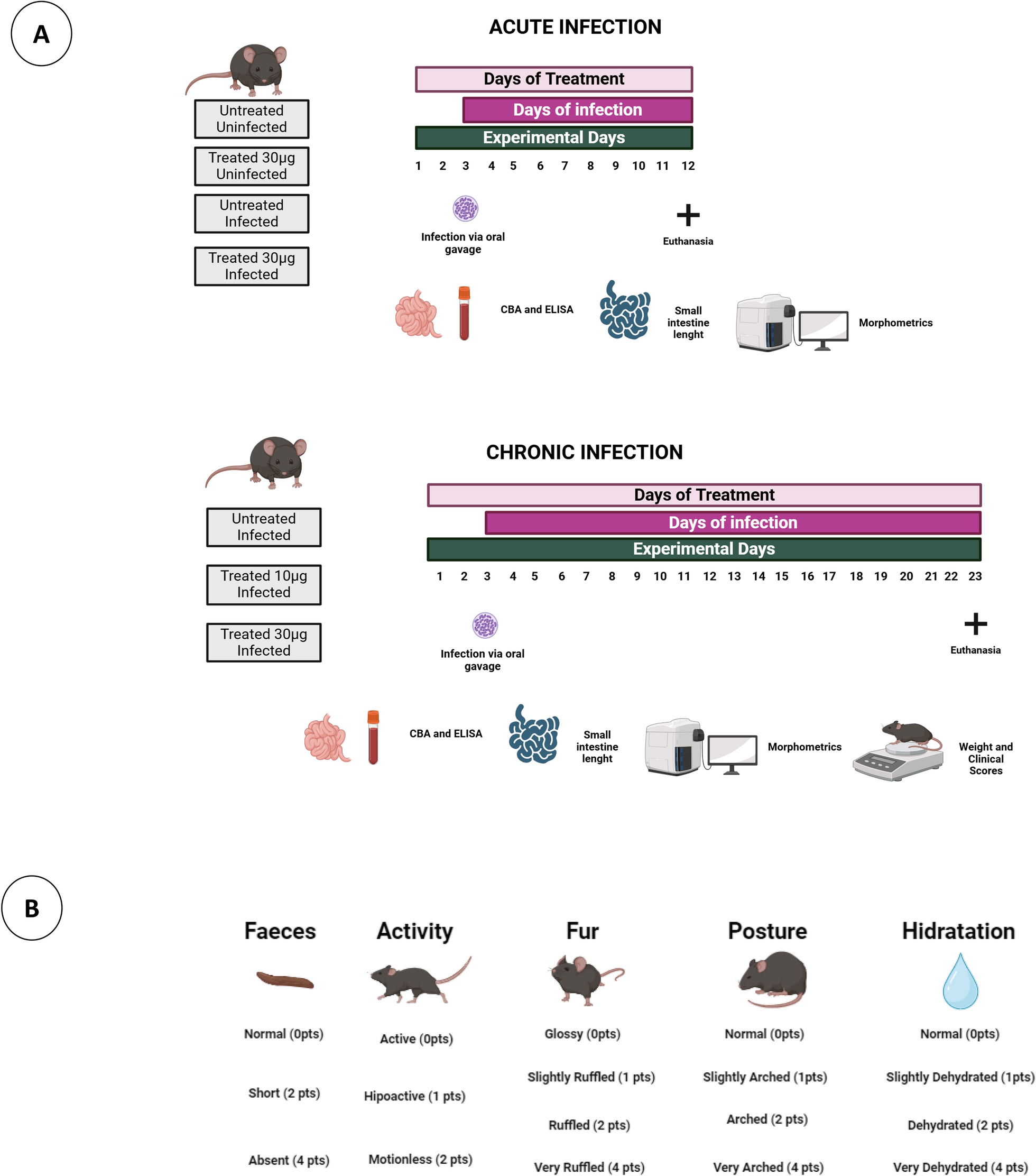 Salivary shield: Rhodnius prolixus salivary glandular extract reduces intestinal immunopathology and protects against Toxoplasma gondii infection