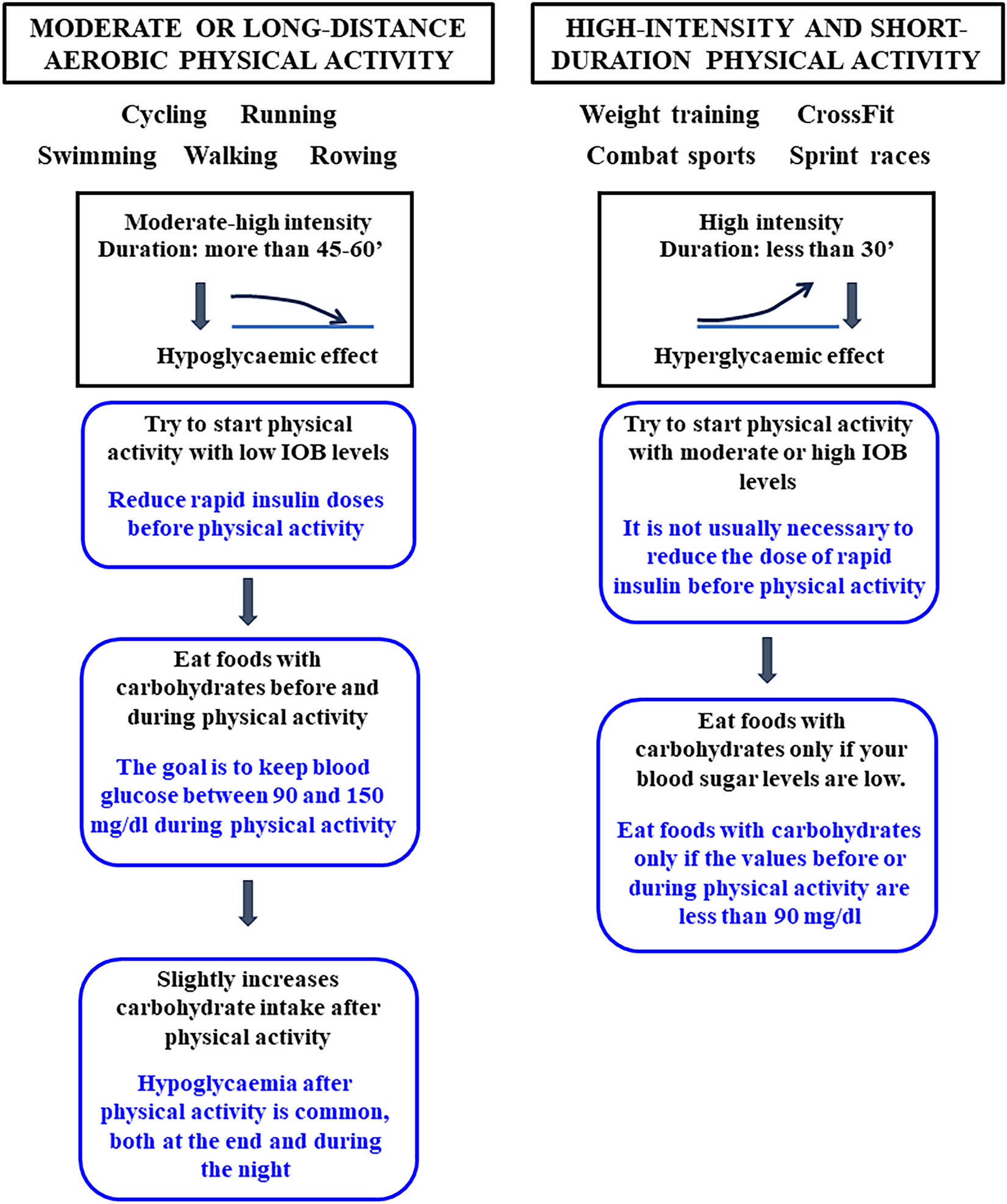 Proposed Practical Guidelines to Improve Glycaemic Management by Reducing Glycaemic Variability in People with Type 1 Diabetes Mellitus