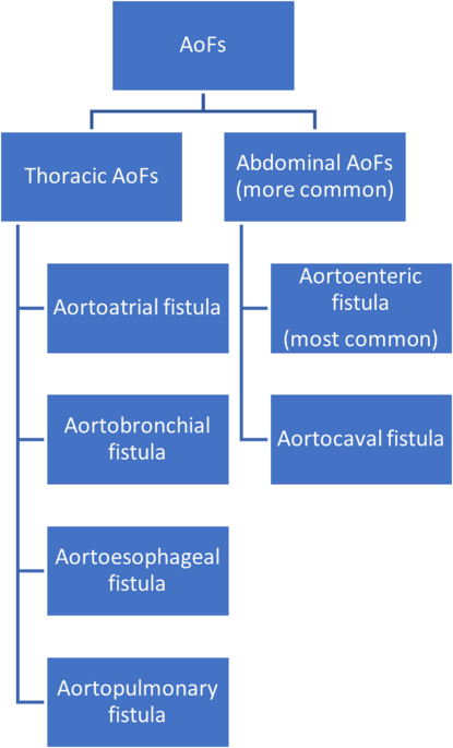 Imaging review of aortic fistulas