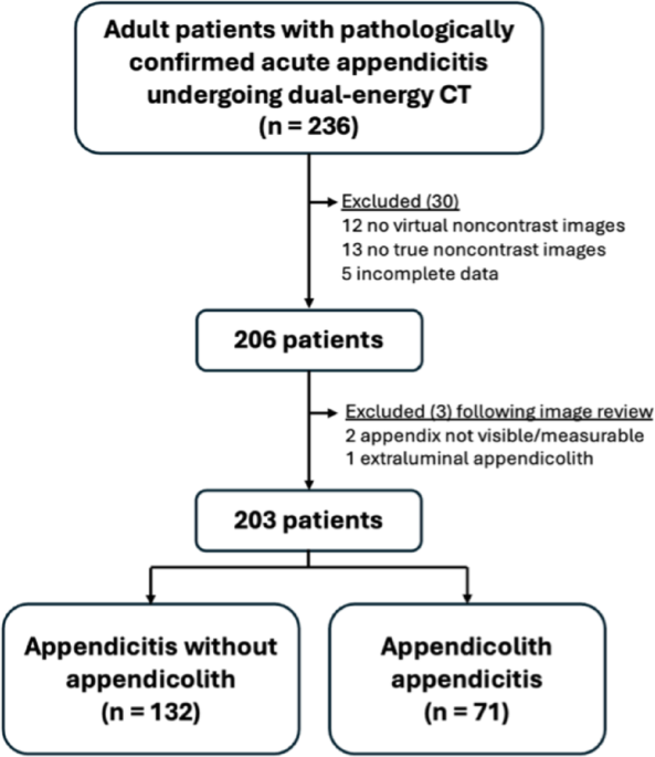 Appendicolith detection in dual-energy CT of adult acute appendicitis: comparing portovenous phase and virtual noncontrast with true noncontrast images