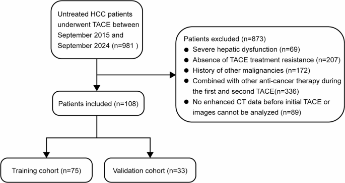 Artificial intelligence-driven CT radiomics model predicts prognosis in TACE-refractory hepatocellular carcinoma