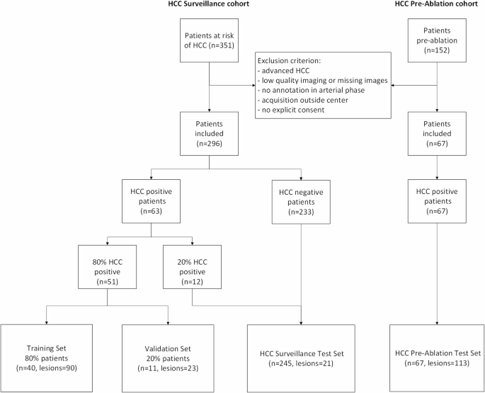 Deep learning for automatic detection of hepatocellular carcinoma in dynamic contrast-enhanced MRI
