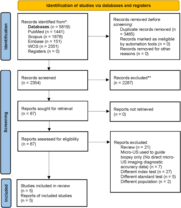 Standalone 29-MHz micro-ultrasound for classifying clinically significant prostate cancer: a systematic review and diagnostic test accuracy meta-analysis of prospective studies
