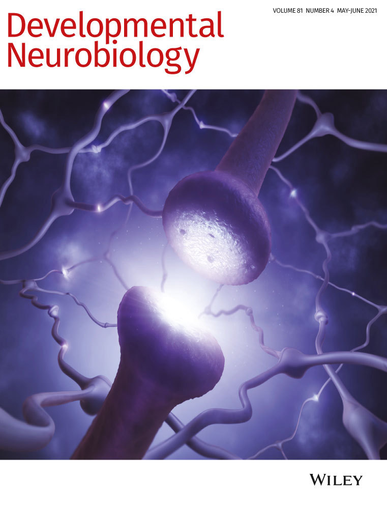 Leucine‐rich repeats and immunoglobulin‐like domains 1 deficiency affects hippocampal dendrite complexity and impairs cognitive function
