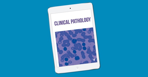 First Case Report of an Unusual Fungus (Sporopachydermia lactativora) Associated with a Pulmonary Infection in a Drug Injection User