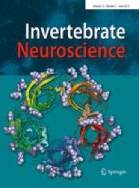 Glial cells in the posterior sub-esophageal mass of the brain in Sepia officinalis (Linnaeus, 1758) (decapodiformes–sepiida): ultrastructure and cytochemical studies