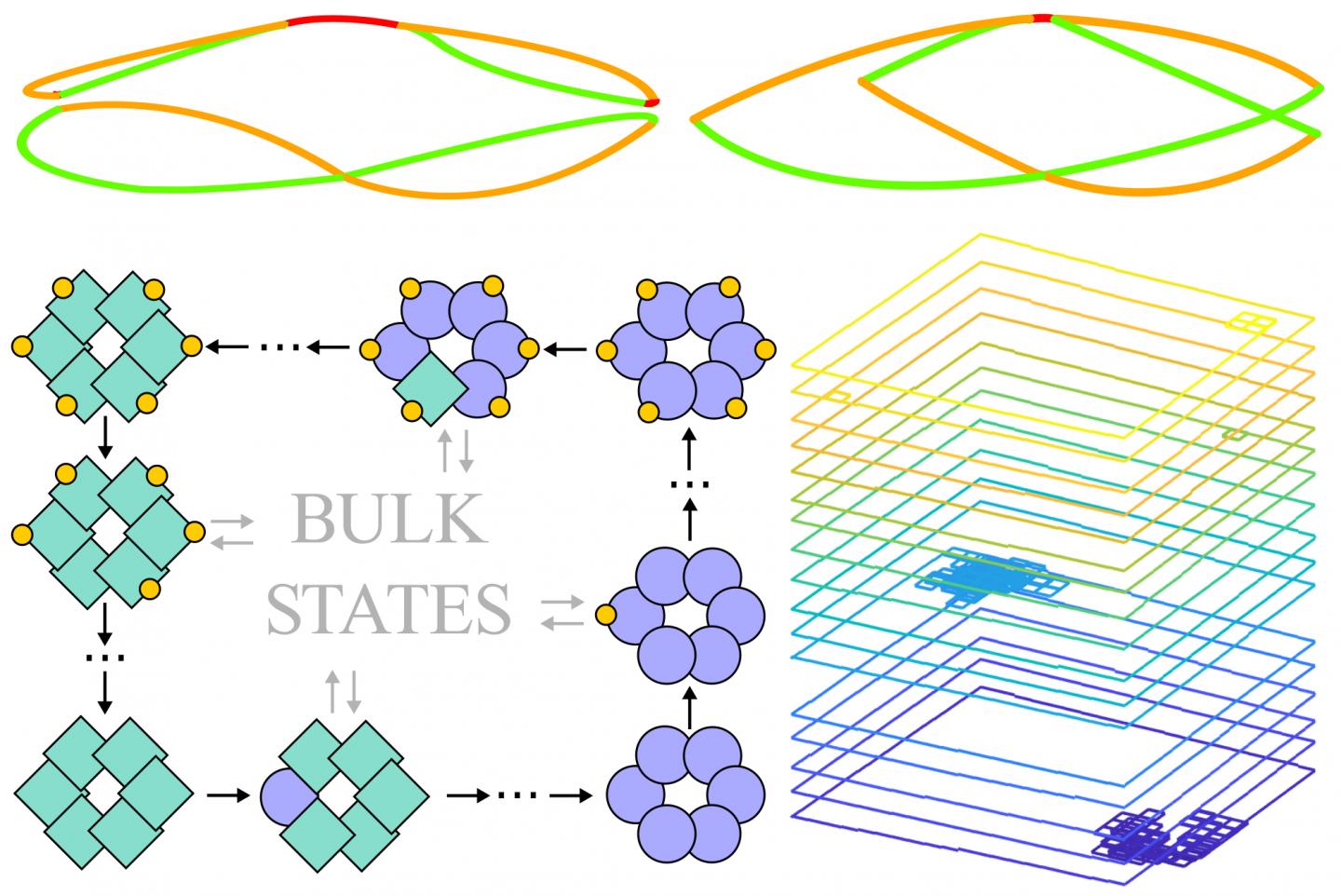 Topology in biology