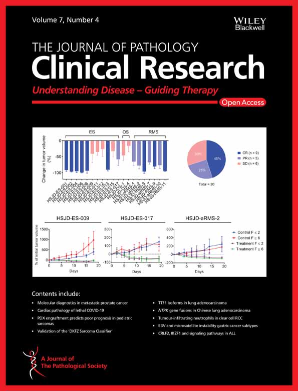 Pattern of placental alkaline phosphatase (PLAP) expression in human tumors: a tissue microarray study on 12,381 tumors