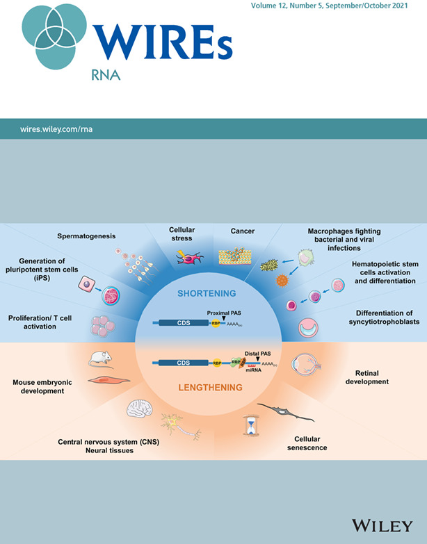 Cover Image, Volume 12, Issue 5