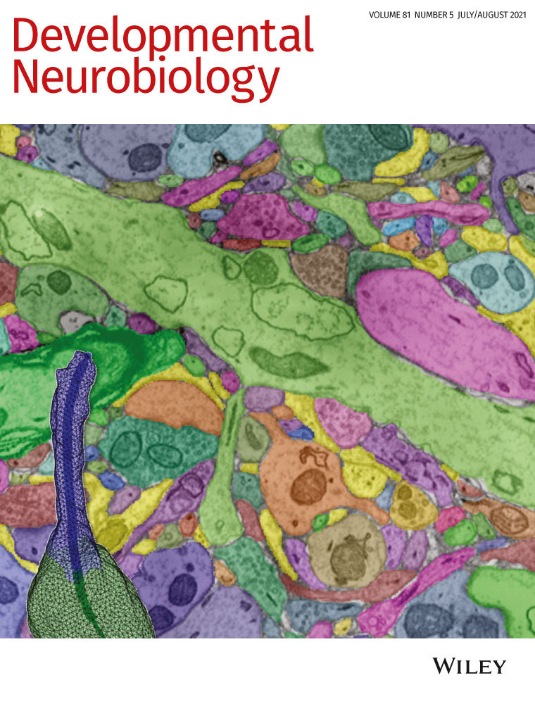 Understanding microglial diversity and implications for neuronal function in health and disease