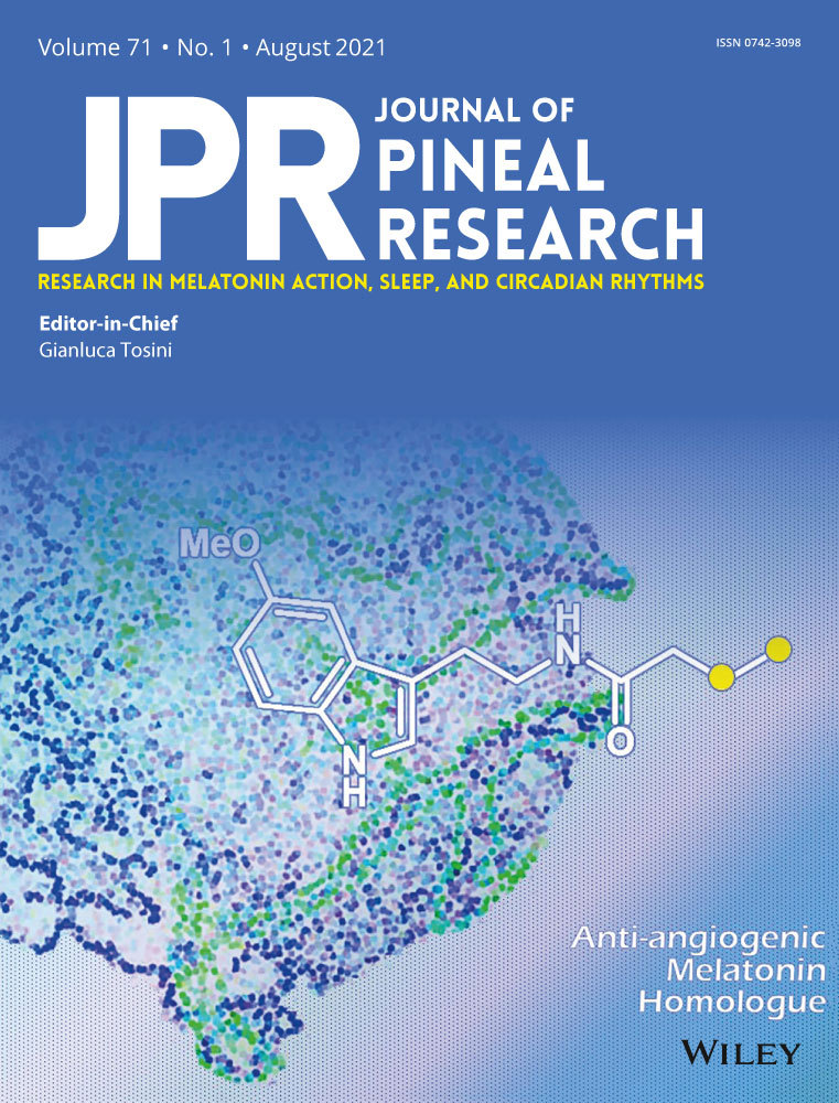 Melatonin reduces nanoplastic uptake, translocation and toxicity in wheat