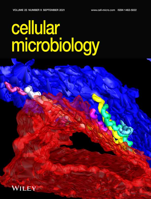 Porphyromonas gingivalis induces penetration of lipopolysaccharide and peptidoglycan through the gingival epithelium via degradation of coxsackievirus and adenovirus receptor