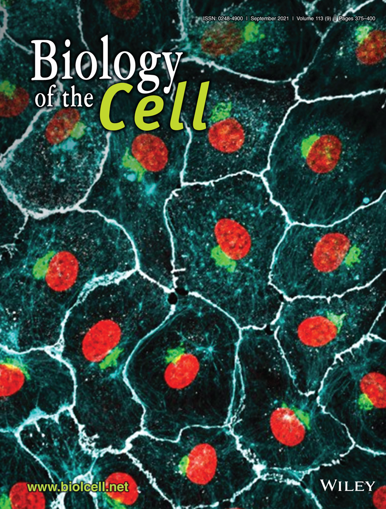 Bioengineering methods for organoid systems