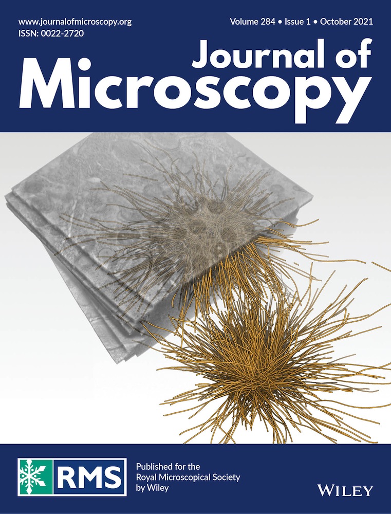 Microscopic analysis for the oxidation of sulphide‐bearing aggregate