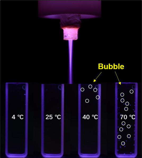 Investigation of the chemical characteristics and anticancer effect of plasma‐activated water: The effect of liquid temperature