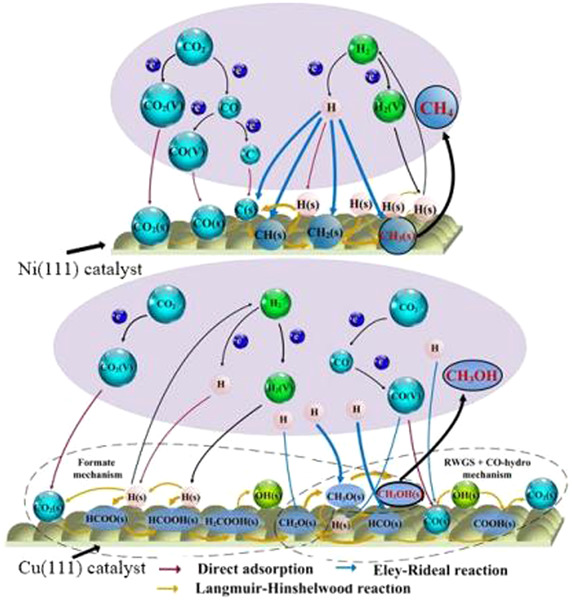 Numerical investigation on the heterogeneous pulsed dielectric barrier discharge plasma catalysis for CO2 hydrogenation at atmospheric pressure: Effects of Ni and Cu catalysts on the selectivity conversions to CH4 and CH3OH
