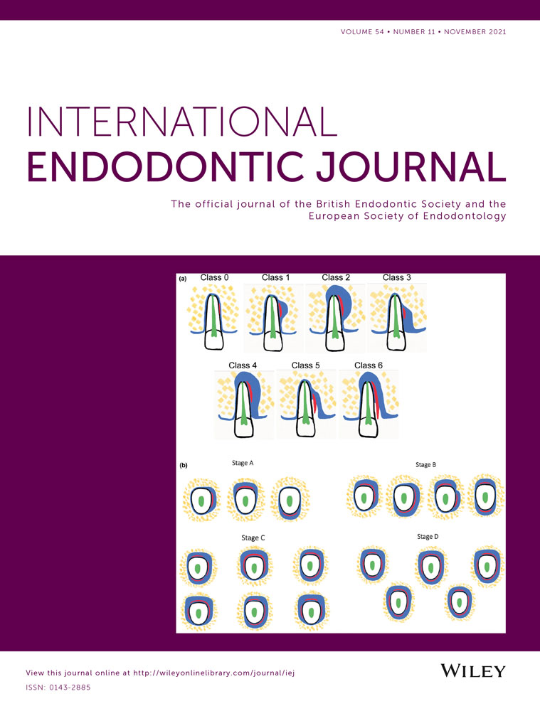 Healing after surgical retreatment at four time points: A retrospective study