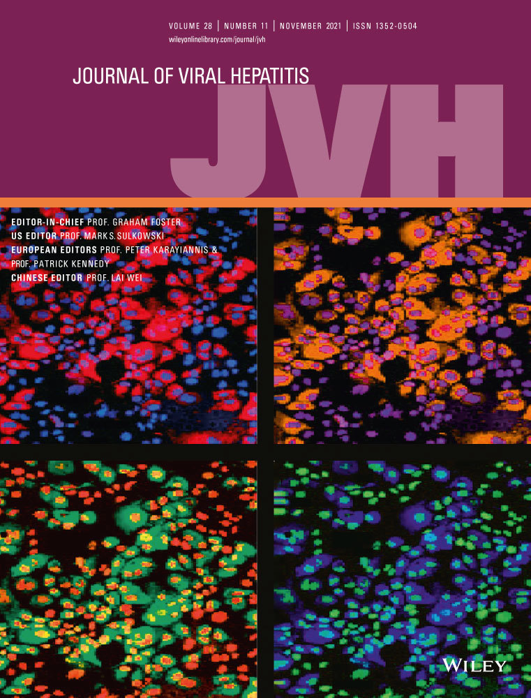 Direct‐Acting Antivirals Reduce the Risk of Tumor Progression of Hepatocellular Carcinoma after Curative Treatment