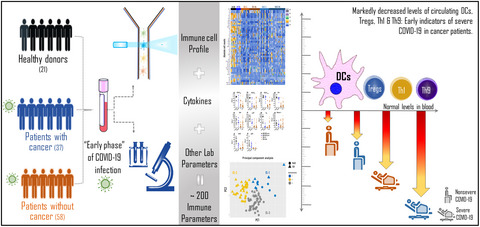 Comprehensive immune cell profiling depicts an early immune response associated with severe coronavirus disease 2019 in cancer patients