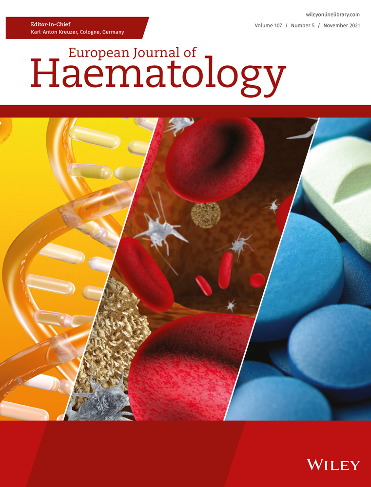 Pomalidomide plus dexamethasone for patients with relapsed or refractory multiple myeloma (R/RMM): Final results of the non‐interventional study POSEIDON and comparison with the pivotal phase 3 clinical trials