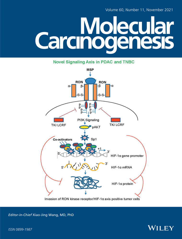 PARP5B is required for nonhomologous end joining during tumorigenesis in vivo