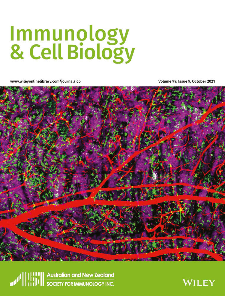 Iron excess affects release of NETs and ROS but does not influence other functions of neutrophils