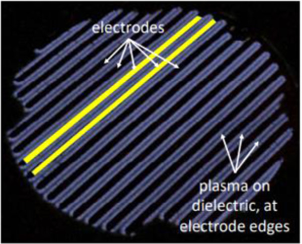 Entering the plasma agriculture field: An attempt to standardize protocols for plasma treatment of seeds