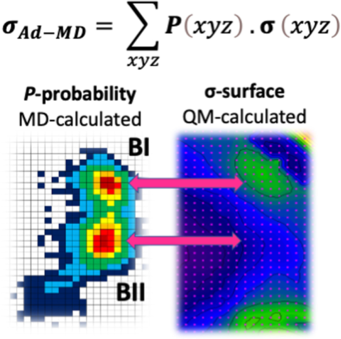 The Ad‐MD method to calculate NMR shift including effects due to conformational dynamics: The 31P NMR shift in DNA