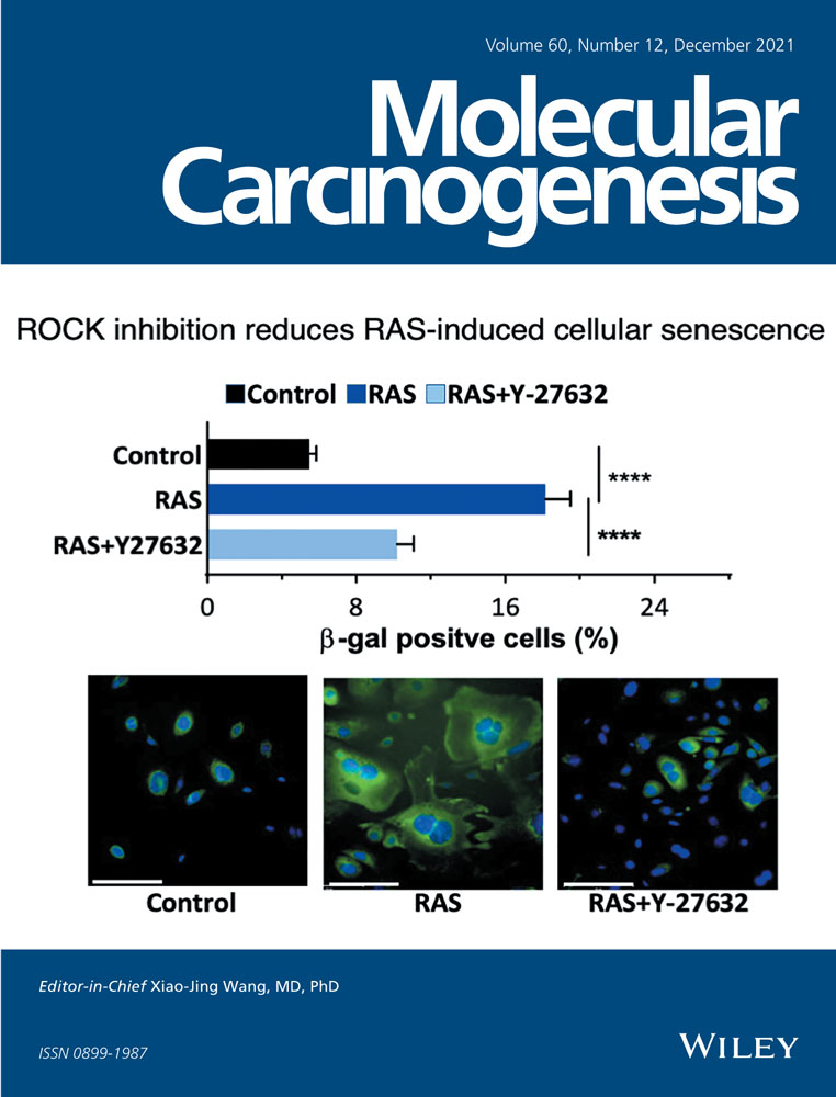 Proanthocyanidins mitigate bile acid‐induced changes in GSTT2 levels in a panel of racially diverse patient‐derived primary esophageal cell cultures