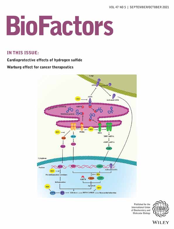 Vitamin D3 enhances the effects of omega‐3 oils against metabolic dysfunction‐associated fatty liver disease in rat