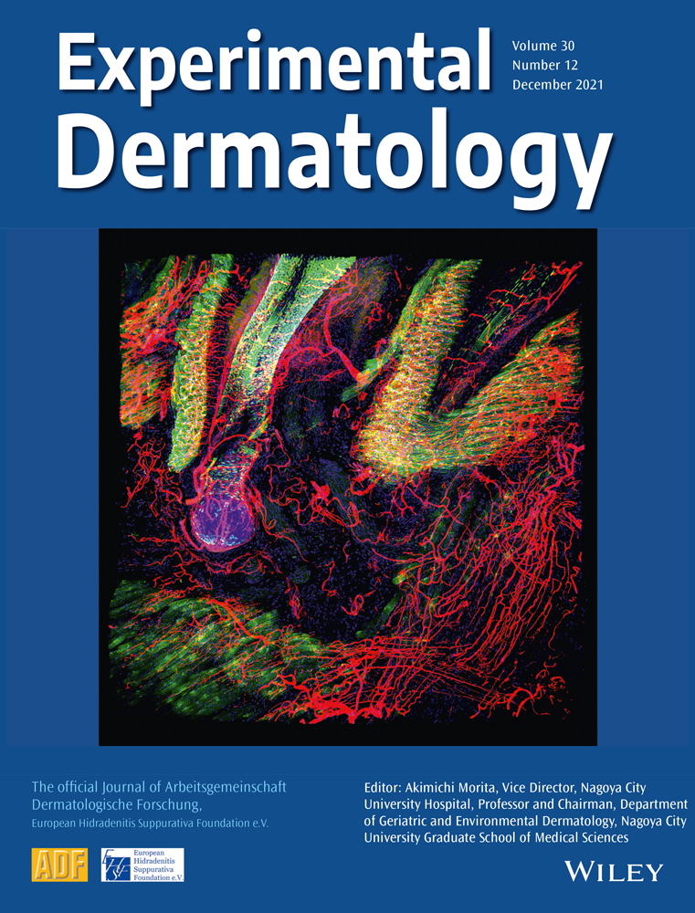 An integrative multi‐omic analysis reveals a major metabolic rewiring between baby foreskin keratinocytes and adult female abdominal keratinocytes.