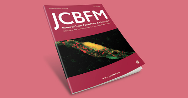 Lumen-oriented versus wall-oriented treatment strategies for intracranial aneurysms – A systematic review of suggested therapeutic concepts