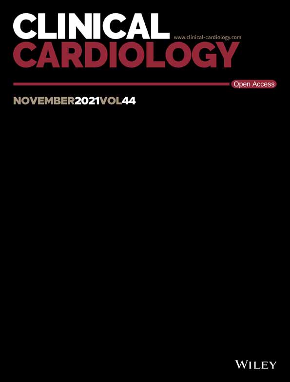 Left atrial appendage size is a marker of atrial fibrillation recurrence after radiofrequency catheter ablation in patients with persistent atrial fibrillation