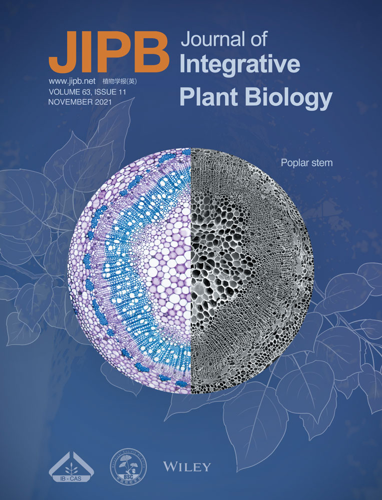 Crop phenotyping in a context of Global Change: what to measure and how to do it