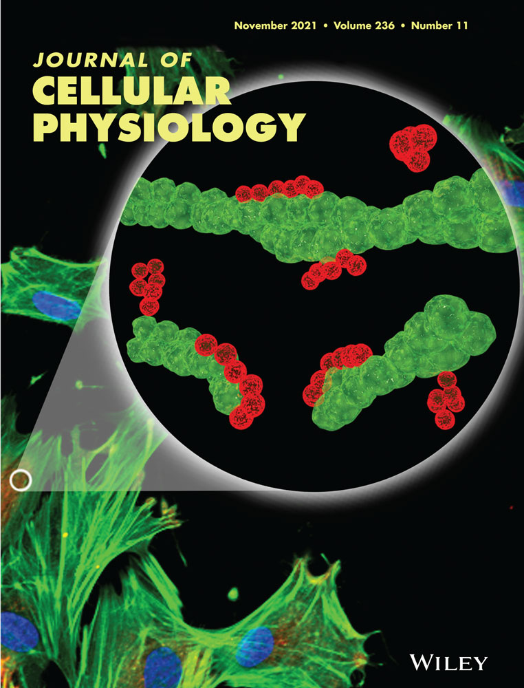 The expression pattern of β‐carotene ketolase gene restricts the accumulation of astaxanthin in Dunaliella under salt stress