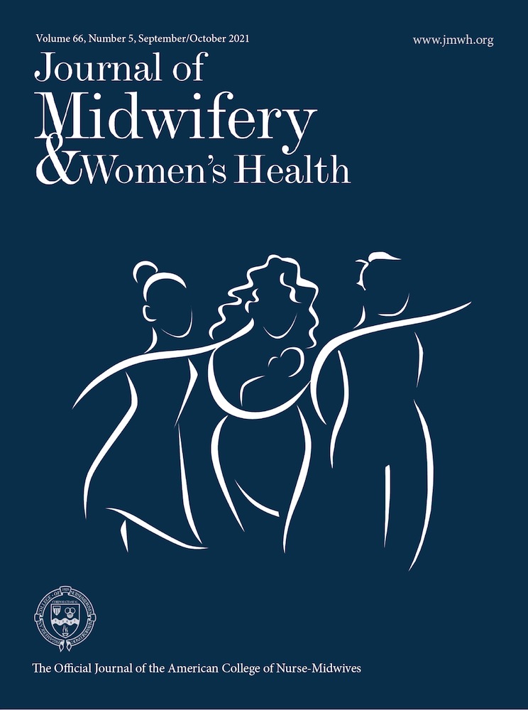 Perspectives of Doulas of Color on their Role in Alleviating Racial Disparities in Birth Outcomes: A Qualitative Study
