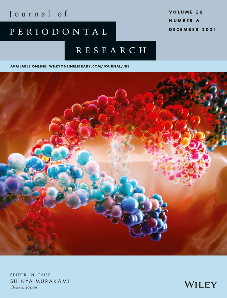 Abnormal mitochondrial structure and function are retained in gingival tissues and human gingival fibroblasts from patients with chronic periodontitis