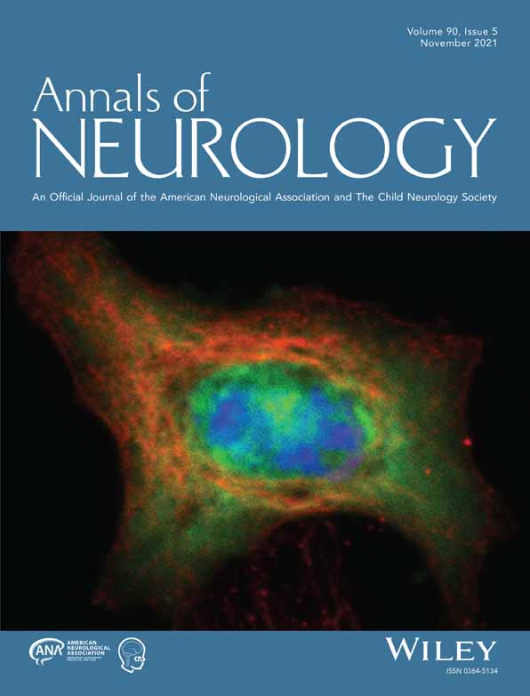The Neural Networks Underlying the Illusion of Time Dilation