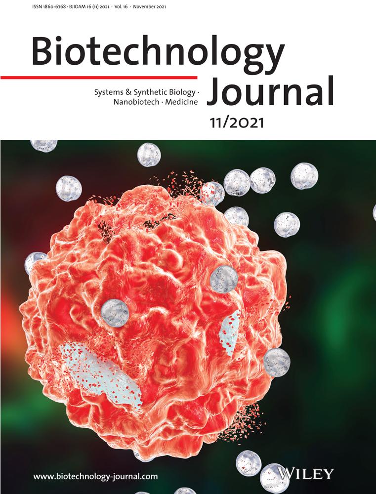 Single‐strand annealing: Molecular mechanisms and potential applications in CRISPR‐Cas‐based precision genome editing