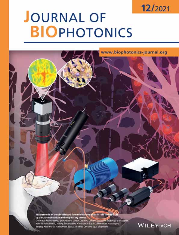 Improving SERS Bioimaging of Subcutaneous Phantom in Vivo with Optical Clearing