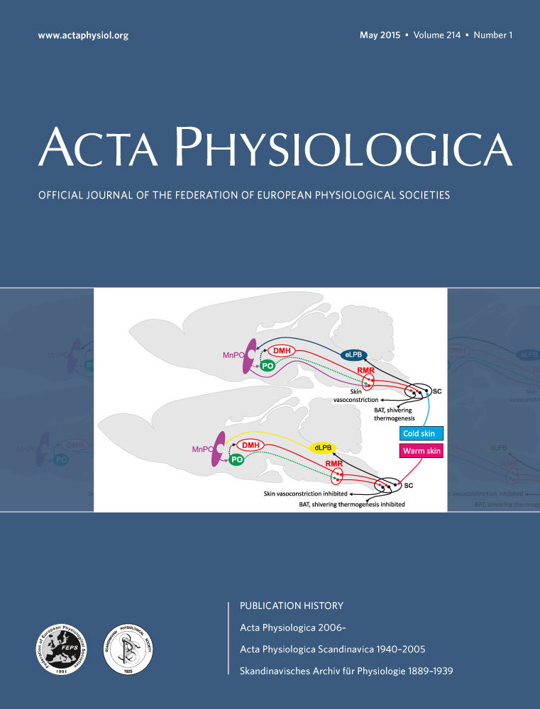 Vascular smooth muscle cell in atherosclerosis