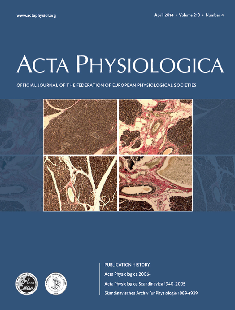 The neurovascular unit – concept review