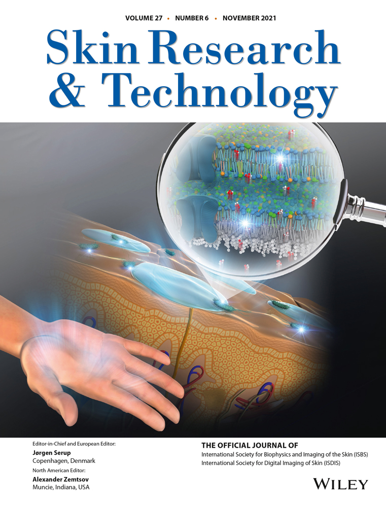 Developing an Artificial Intelligence (A.I)‐based descriptor of facial appearance that fits with the assessments of makeup experts