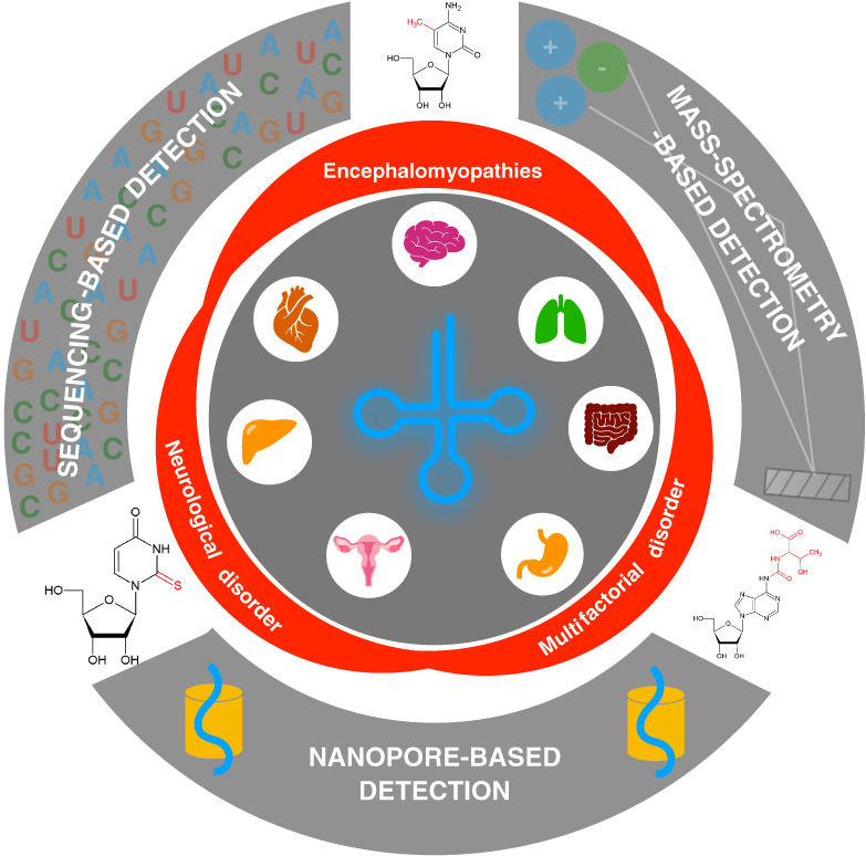 Detecting the epitranscriptome