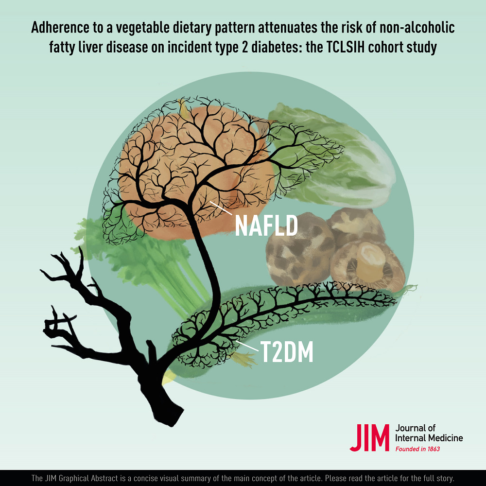 Adherence to a vegetable dietary pattern attenuates the risk of non‐alcoholic fatty liver disease on incident type 2 diabetes: the TCLSIH cohort study