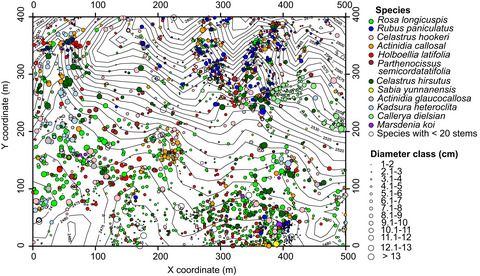 Spatial autocorrelation shapes liana distribution better than topography and host tree properties in a subtropical evergreen broadleaved forest in SW China